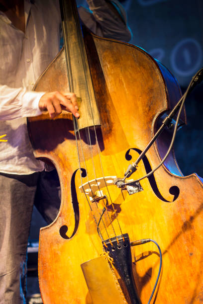 istock Bass musician 980431704