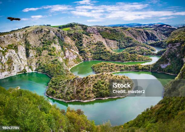 그리 폰 독수리 세르비아에서 Uvac 강의 구불구불 이상의 비행 세르비아에 대한 스톡 사진 및 기타 이미지 - 세르비아, 자연, 강