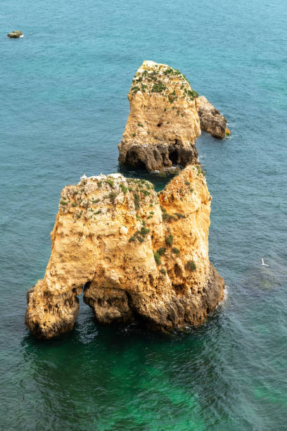 istock ROCKY BEACH IN PORTUGAL 980432428