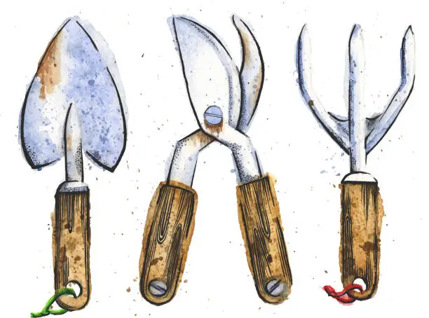 Vector illustration of Gardening Tools Watercolor and Ink Drawing
