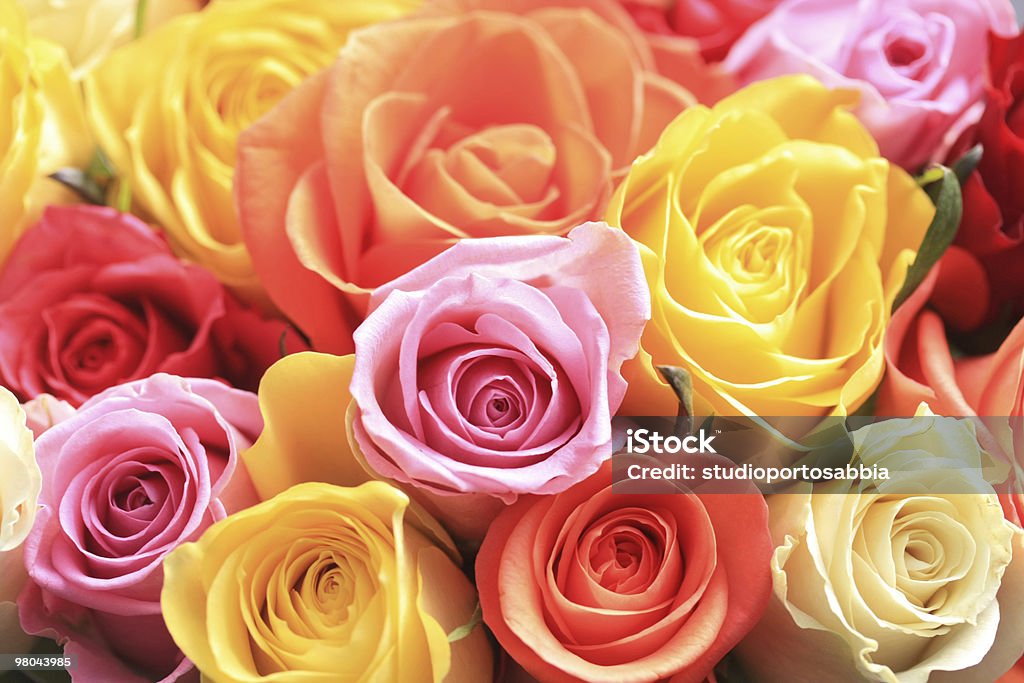bouquet de rosa mista - Royalty-free Rosa - Flor Foto de stock