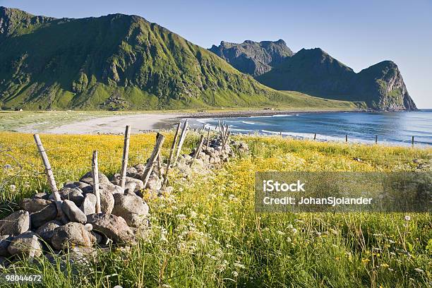 Z Widokiem Na Wybrzeże W Lofoten - zdjęcia stockowe i więcej obrazów Bez ludzi - Bez ludzi, Bezchmurne niebo, Europa - Lokalizacja geograficzna