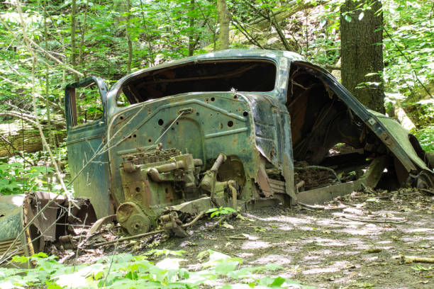 istock Old Abandoned Car in the Forest 980447906