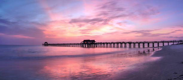 tramonto rosa e viola sul molo di napoli - florida naples florida pier beach foto e immagini stock
