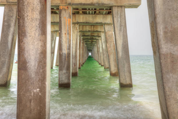 istock Under the Naples Pier with a blue sky 980462040