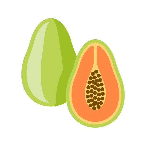 Papaya Flat Design Fruit Icon A flat design styled fruit icon with a long side shadow. Color swatches are global so it’s easy to edit and change the colors. File is built in the CMYK color space for optimal printing. papaya stock illustrations