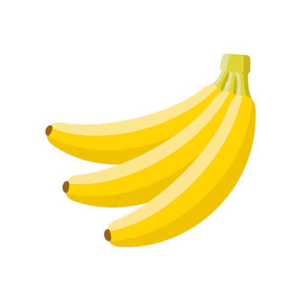 Banana Flat Design Fruit Icon A flat design styled fruit icon with a long side shadow. Color swatches are global so it’s easy to edit and change the colors. File is built in the CMYK color space for optimal printing. banana stock illustrations