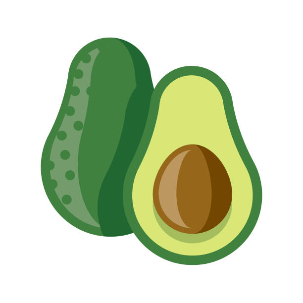 Avocado Flat Design Fruit Icon A flat design styled fruit icon with a long side shadow. Color swatches are global so it’s easy to edit and change the colors. File is built in the CMYK color space for optimal printing. avocado stock illustrations