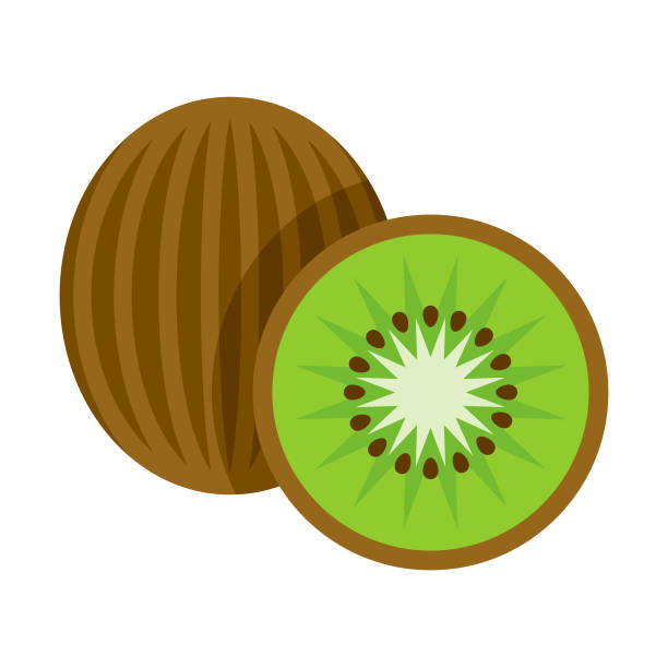 ilustrações, clipart, desenhos animados e ícones de ícone de fruta kiwi design plano - fruta kiwi