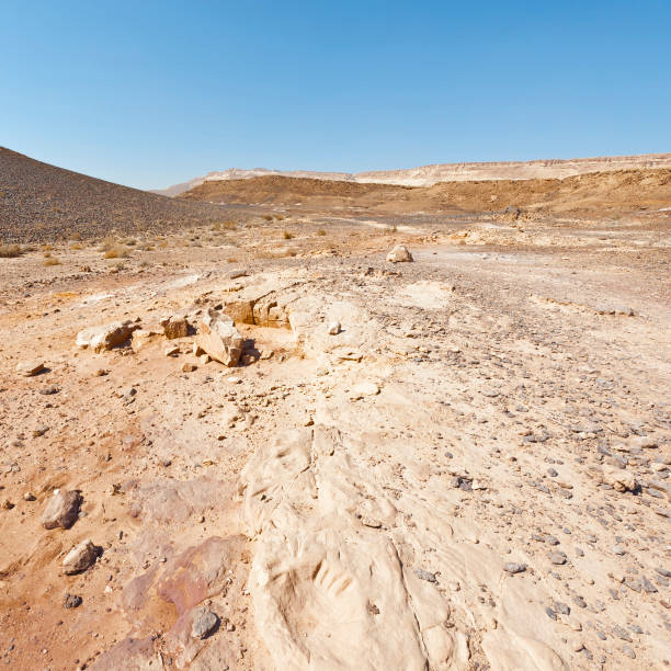 istock Nature of the Middle East. 980502966