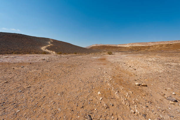 istock Nature of the Middle East. 980502972