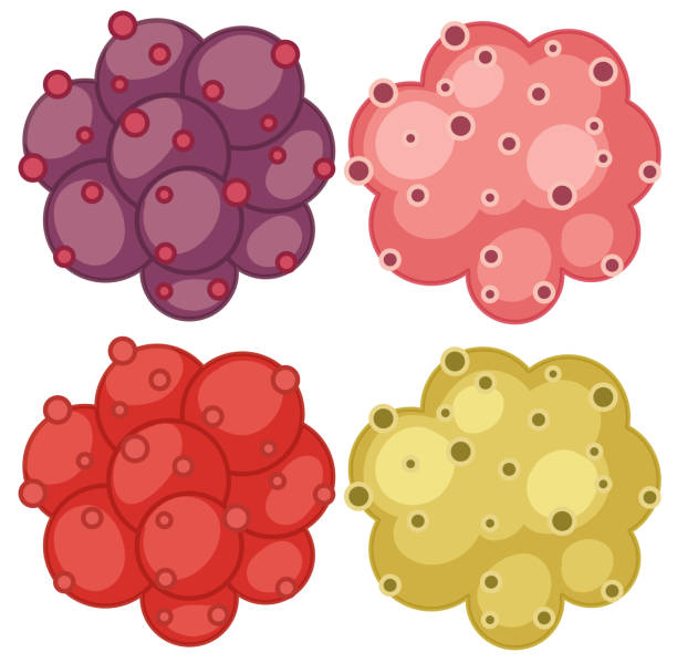 ilustraciones, imágenes clip art, dibujos animados e iconos de stock de conjunto de diferentes bacterias - healthcare and medicine multi colored cell backgrounds