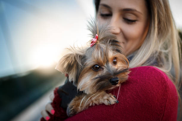Woman with her dog on pet friendly shopping rooftop