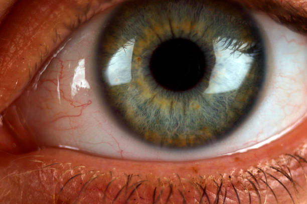 istock Extreme Close Up of human eye 98052484