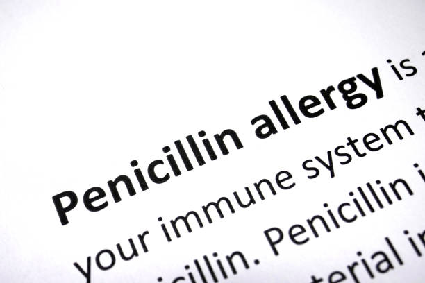 penicillin-allergie - penicillium stock-fotos und bilder