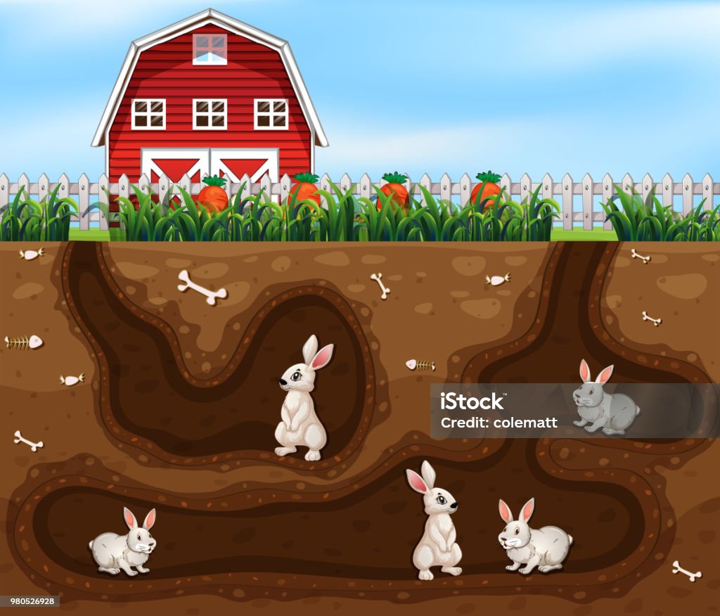 Kani talo maanalainen maatila - Rojaltivapaa avainsanalla Asunto ja tyyppiä kuvapankin vektori Kani talo maanalainen maatila - Rojaltivapaa avainsanalla Asunto ja tyyppiä kuvapankin vektori