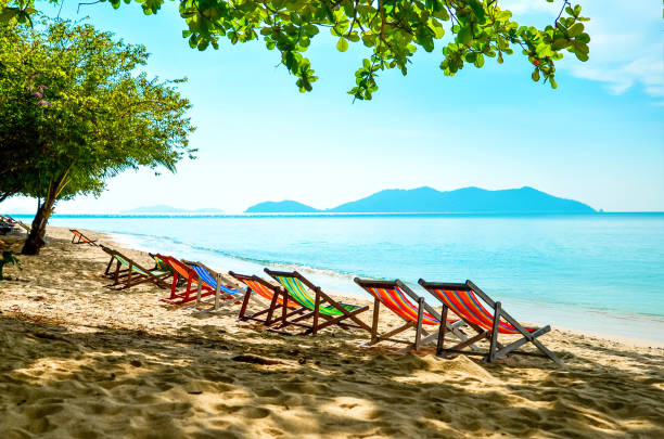 istock Empty beds are in a row on the beach. Tanning place on the sea 980540132