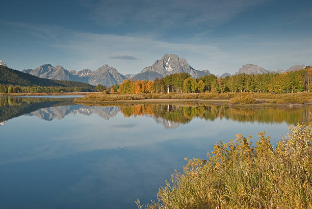 Tetons and Fall Colors Reflected in the Snake River The Snake River flows quietly through the Jackson Hole Valley. In many places the water is so calm and glassy that a perfect reflection of the Teton Range is often seen. This picture of the Tetons and fall foliage was taken from Oxbow Bend, a very popular place for photographers. Oxbow Bend is in Grand Teton National Park near Jackson, Wyoming, USA. jeff goulden grand teton national park stock pictures, royalty-free photos & images