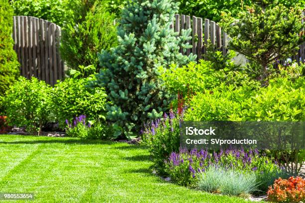 A Flower Garden In The Backyard Stock Photo - Download Image Now - Yard - Grounds, Ornamental Garden, Formal Garden