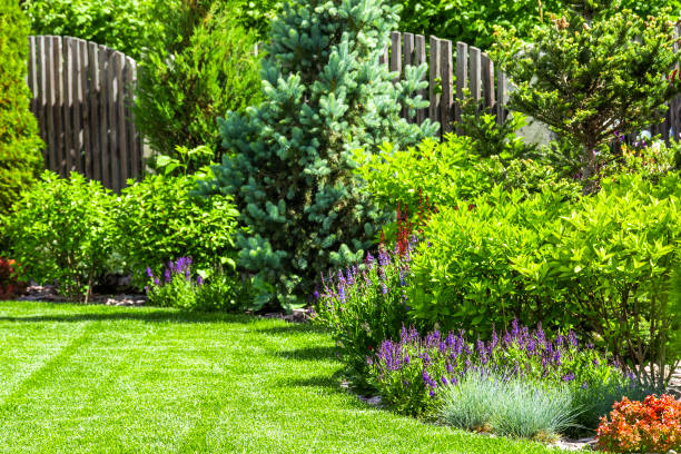 цветник на заднем дворе - garden fence стоковые фото и изображения