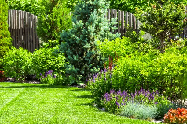 A flower garden in the backyard in the summer.