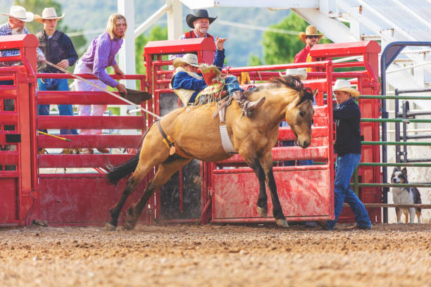 istock Utah Cowboy Saddle Bronc Bareback Riding Western Outdoors and Rodeo Stampede Roundup Riding Horses Herding Livestock 980556424
