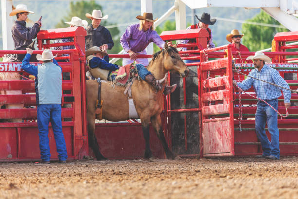 istock Utah Cowboy Saddle Bronc Bareback Riding Western Outdoors and Rodeo Stampede Roundup Riding Horses Herding Livestock 980556492