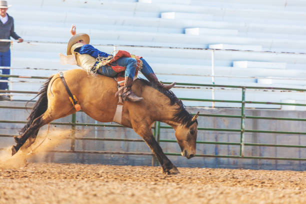 istock Utah Cowboy Saddle Bronc Bareback Riding Western Outdoors and Rodeo Stampede Roundup Riding Horses Herding Livestock 980559616