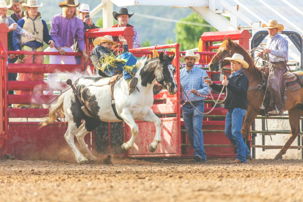 istock Utah Cowboy Saddle Bronc Bareback Riding Western Outdoors and Rodeo Stampede Roundup Riding Horses Herding Livestock 980559808