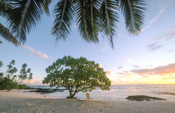 istock Sunset on beautiful empty tropical beach with deckchair and palm tree fronds at Lefaga, Matautu, Upolu Island, Samoa, South Pacific 980572016