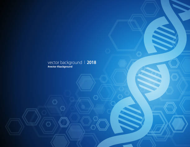 DNA Abstract Background Vector of abstract DNA structure and blue color background. chromosome science genetic research biotechnology stock illustrations