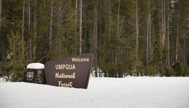 istock Winter Woods Umpqua National Forest Welcome Sign 980589212