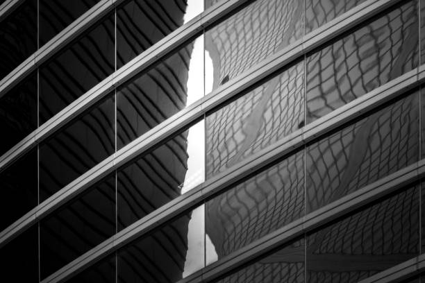 istock Modern office building detail, glass surface with B&W color 980592906