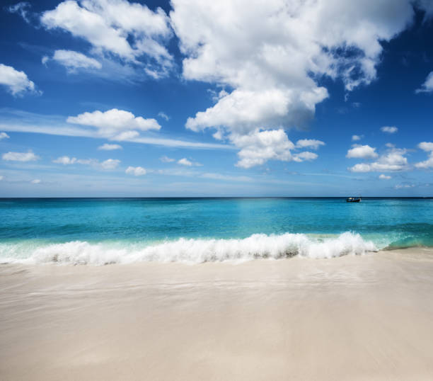 istock Beautiful tropical beach and blue sky 980596786