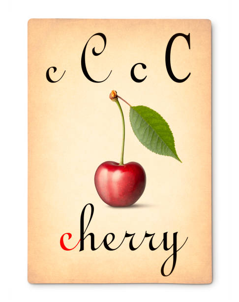 istock Letter C - Cherry. Vintage alphabet flash card. 980619094