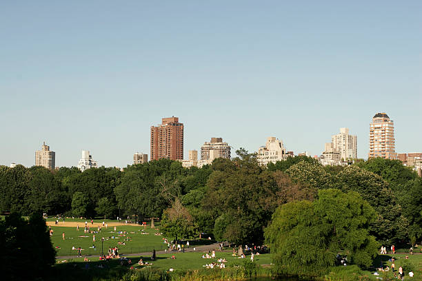 istock Central Park - New York City 98062141