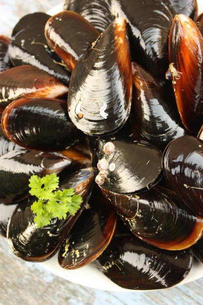 istock Rope mussels Seafood product 980627100