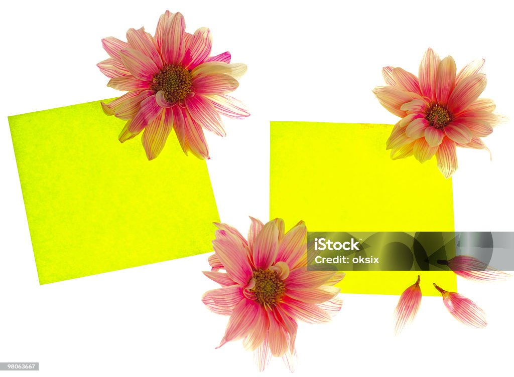 Stickers with flowers  Cardboard Stock Photo