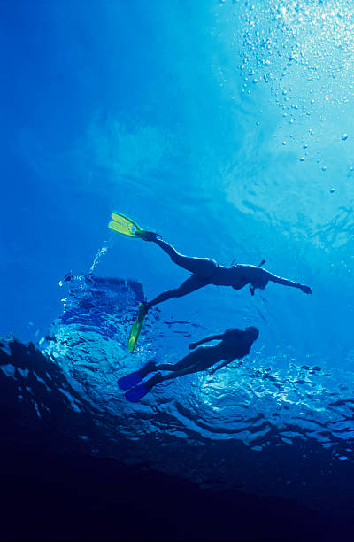 istock Two free diver woman 98063702