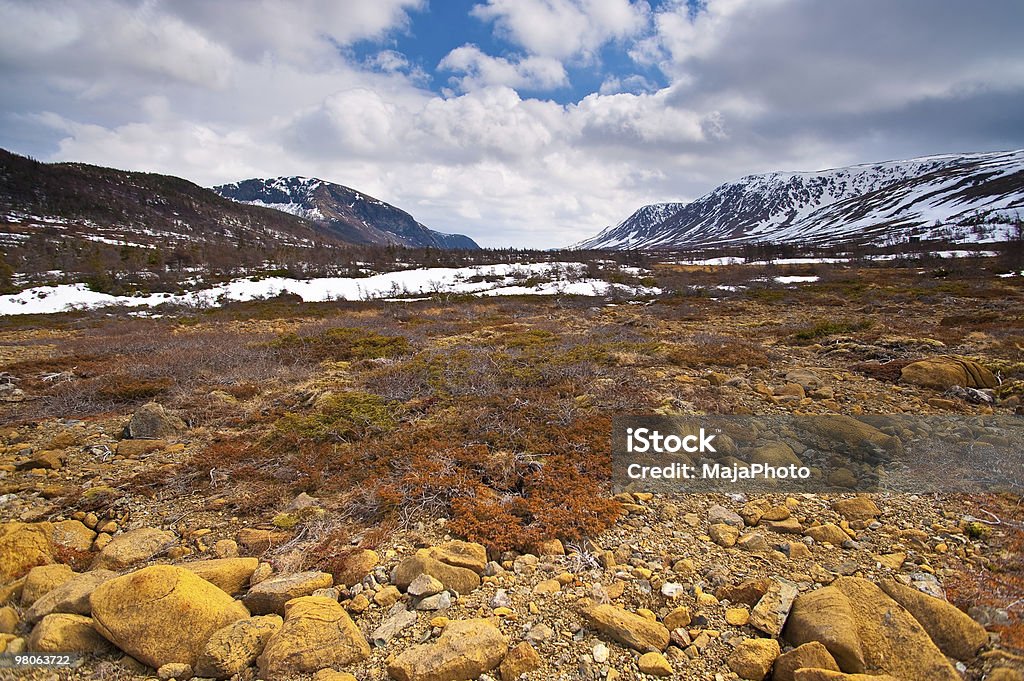 Montañas de Gros Morne Tablelands - Foto de stock de Tundra libre de derechos