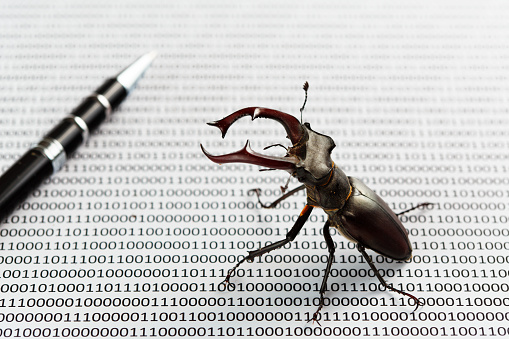 Bugs In Programm Binary Code Quality Assurance Stock Photo - Download ...