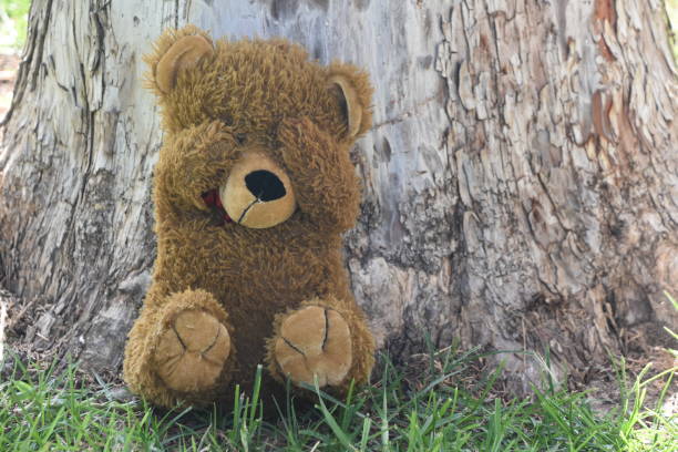 istock Play hide and seek with a teddy bear 980639770