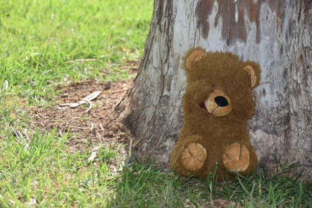 istock Play hide and seek with a teddy bear 980639836