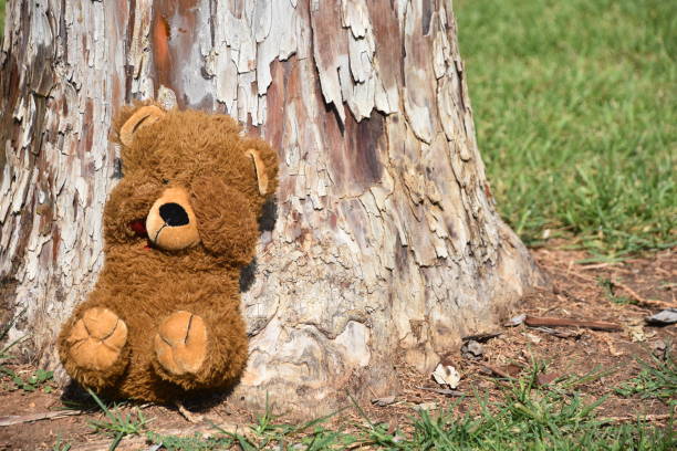 istock Play hide and seek with a teddy bear 980642874