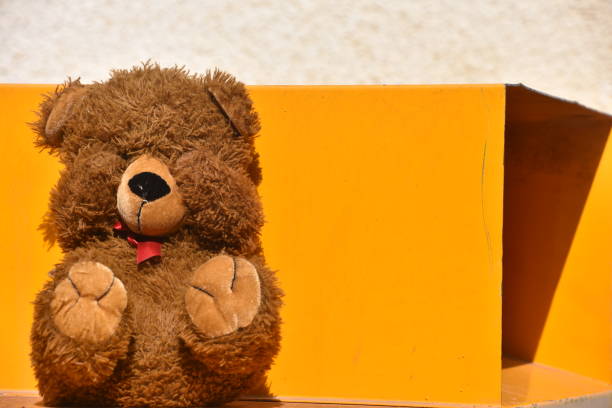 istock Play hide and seek with a teddy bear 980646474