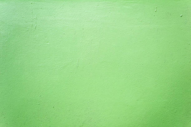 istock green cement plaster wall background and texture 980646672