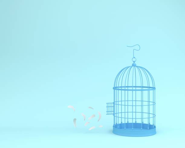 istock White angel feathers floating outside retro bird cage on pastel blue background  minimal idea concept of freedom 980647488
