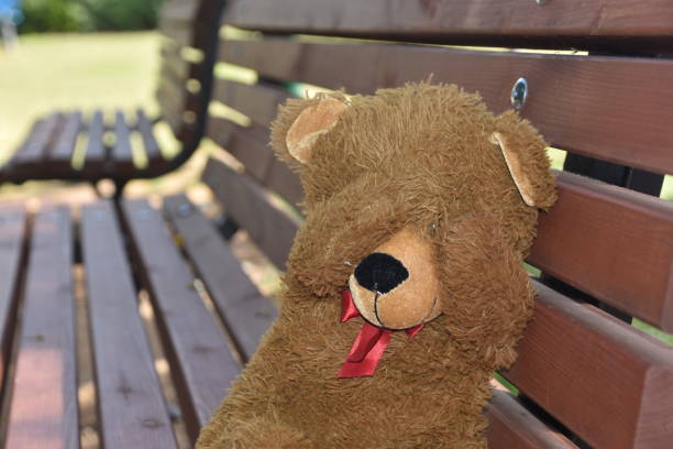 istock Play hide and seek with a teddy bear 980648022