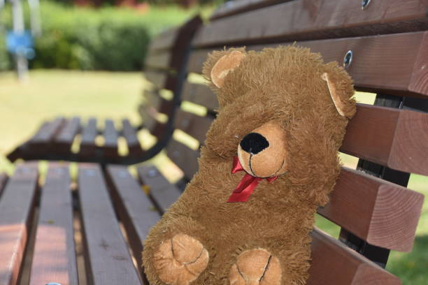 istock Play hide and seek with a teddy bear 980648038