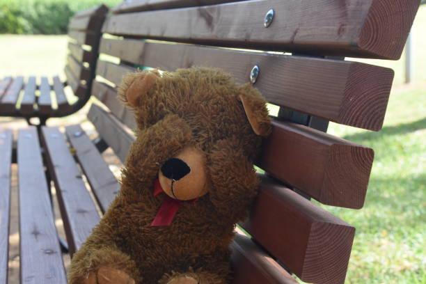 istock Play hide and seek with a teddy bear 980650982